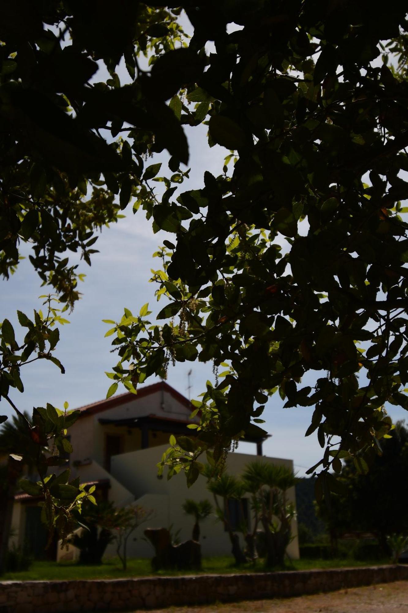 Villa Fattoria La Traccia Fertilia Exterior foto